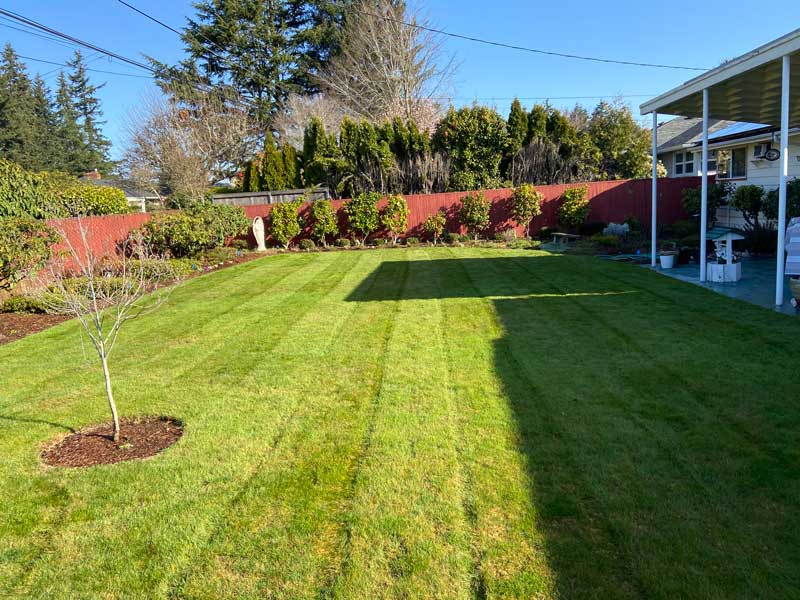 Residential & Commercial Lawn Care Services Sunset Lawn Care LLC
